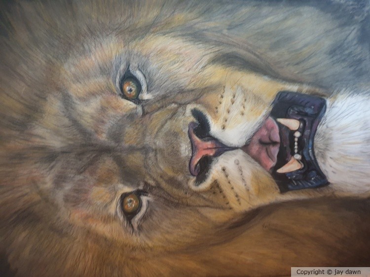 Raged lion