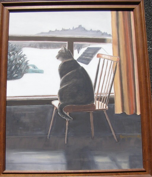 Winter Cat