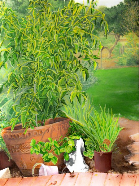 Moms Favorite plant