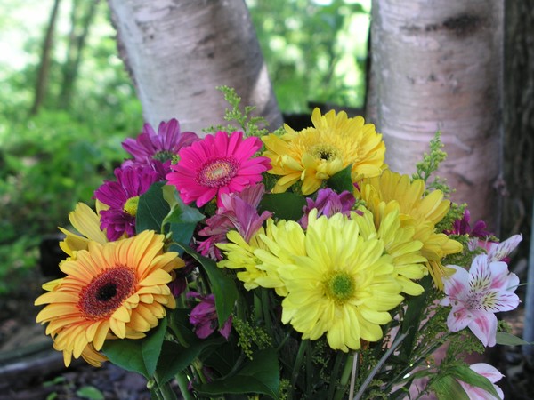 Garden Delight