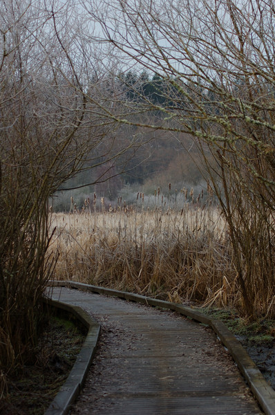 The path to ?????