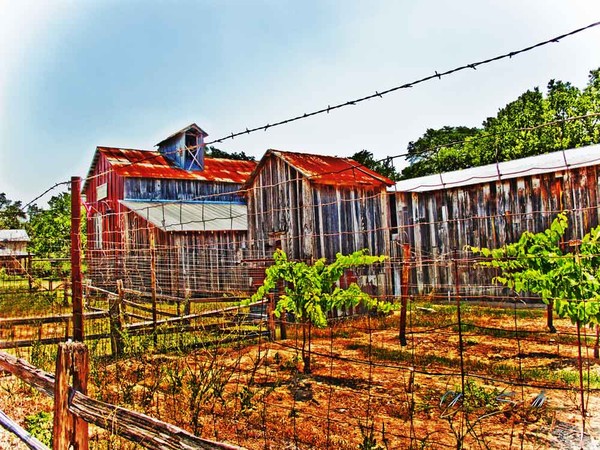 Sisterdale Winery