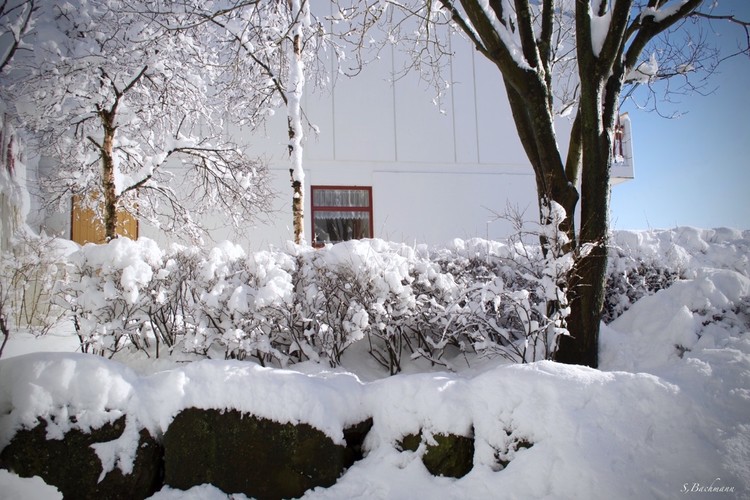 Snow outside my window.