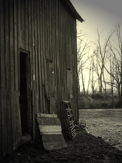This Ole Barn.