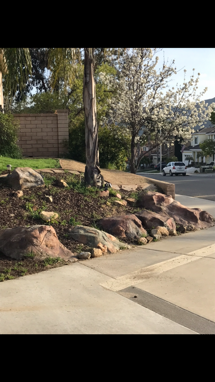 Boulders I build for landscaping