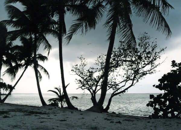 Punta Cana Dominican Republic