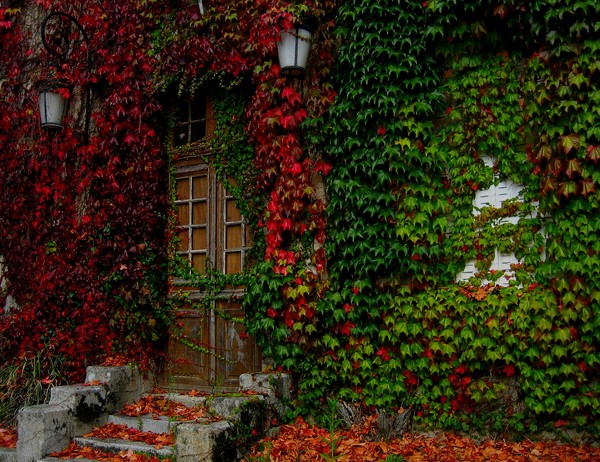 Colors...1.
