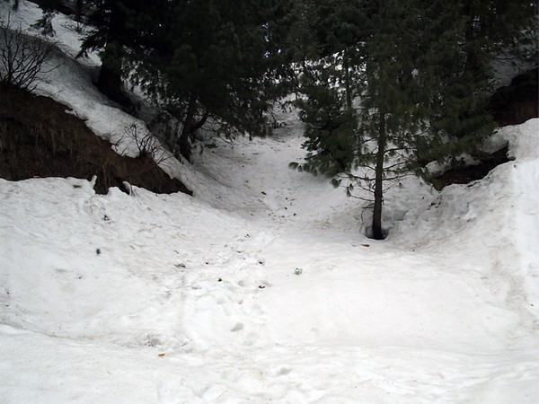 Footsteps in snow
