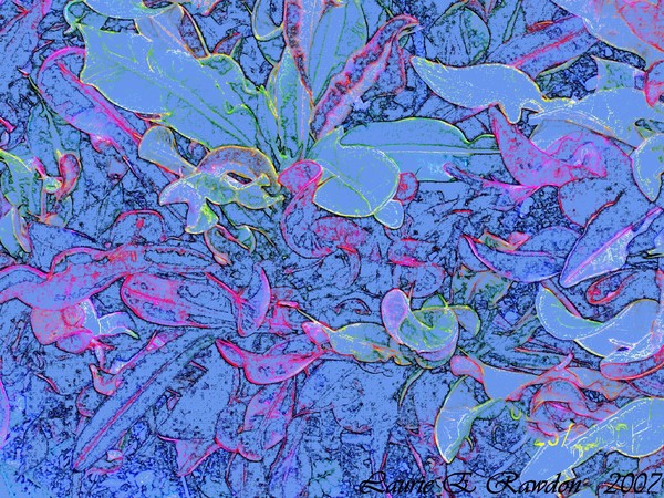 Blue Leaf Abstract
