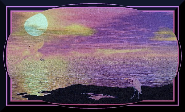 Bird Collage