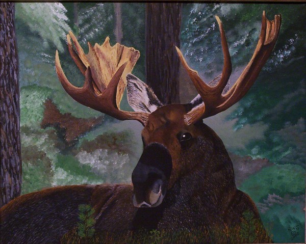 Moose