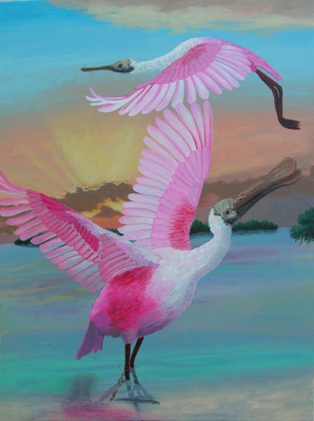 spoonbills at sunrise