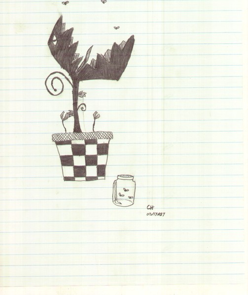 Mr.Flytrap