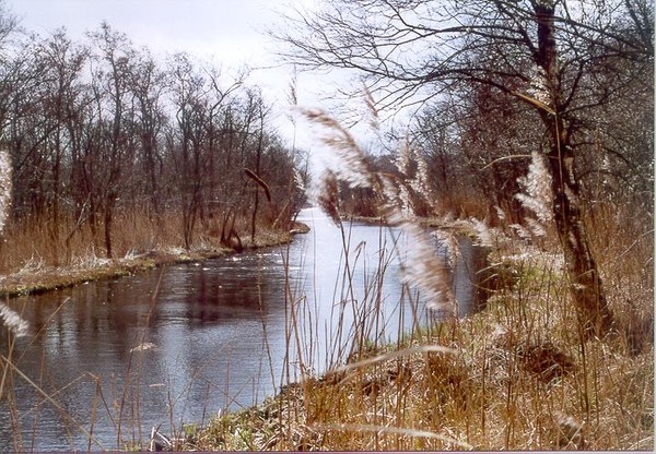 Deeplandscape