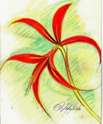 Red  Floral Blossom