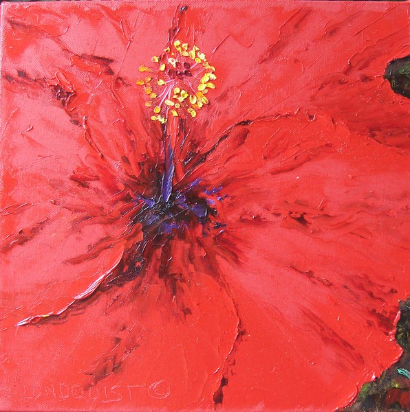 Hula Hibiscus