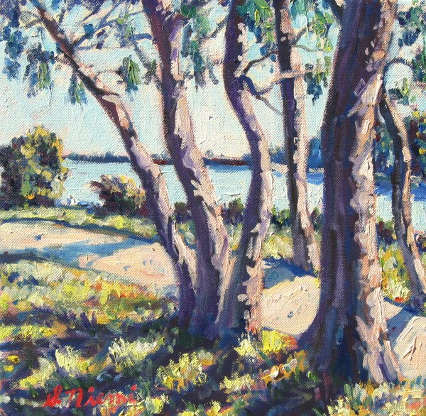 Summer Shadows