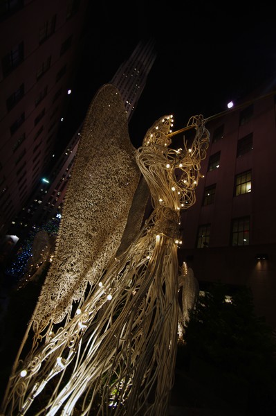 IMGP8552
