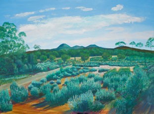 Yunta Hills