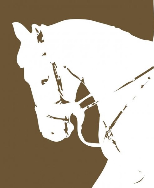 Under Saddle