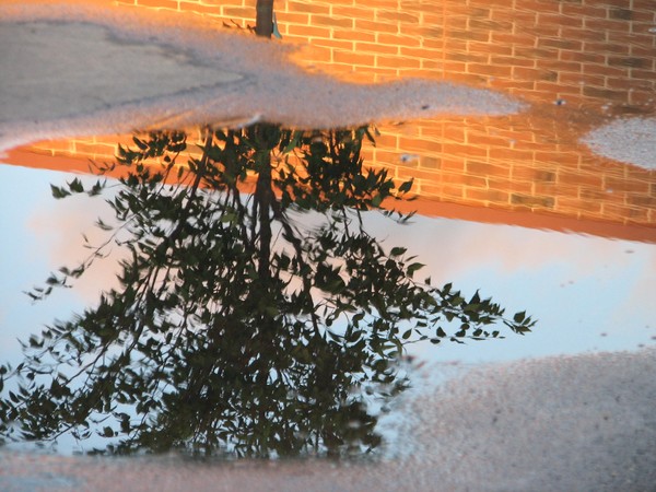 Reflections 1