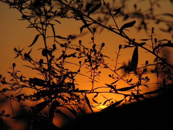 GOLDEN MOMENTS...