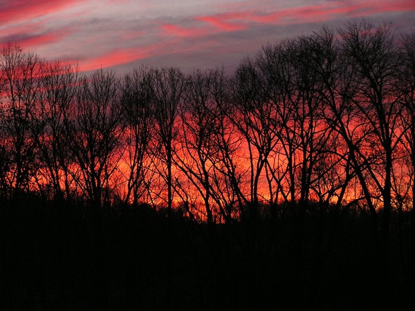 Winter Sunrise