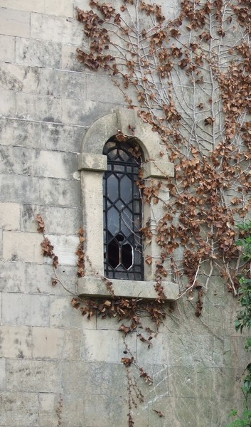 Spooky WIndow