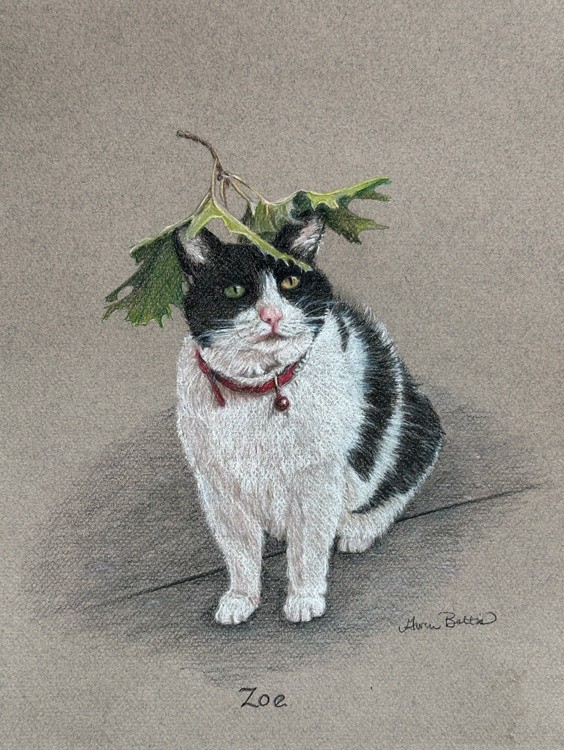 Zoe Cat