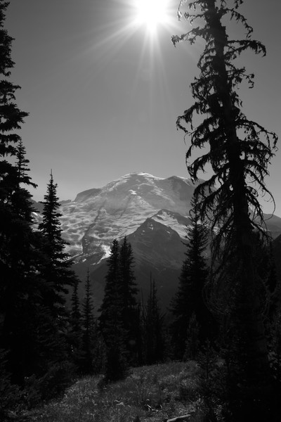 Mount Rainier