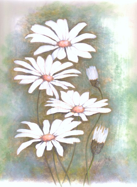 Spring Daisies