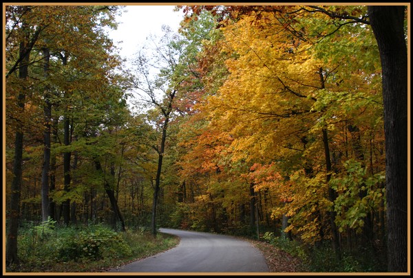 COUNTRY ROAD