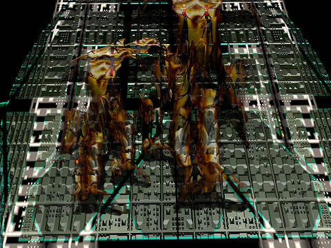INTERFACE SERIES