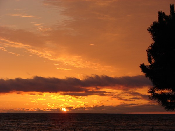 Sizzling Sunrise