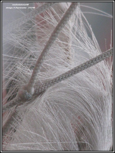..one more knot to open...