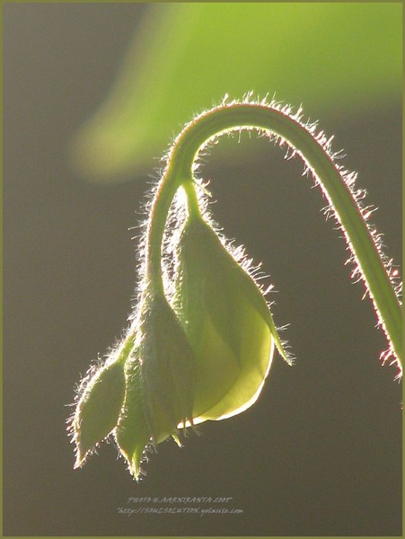 ..waiting to...