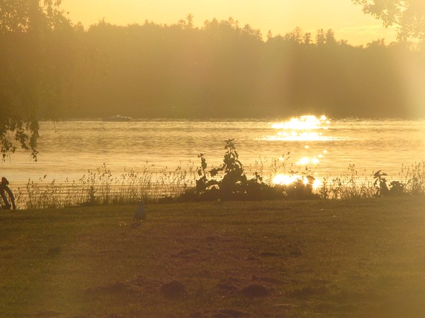 sunset series©2010