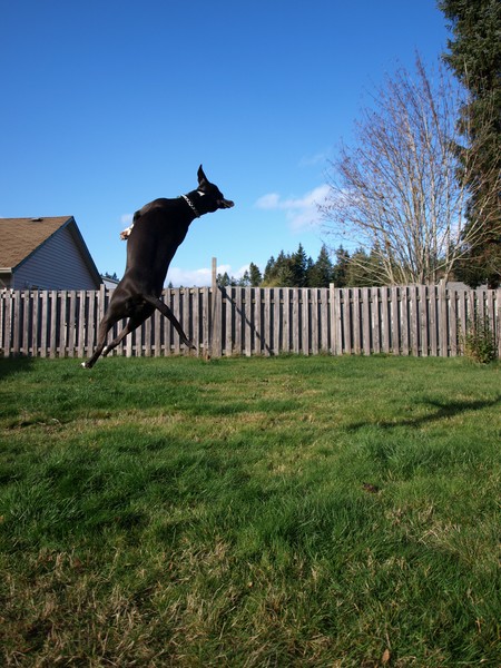 Flying High