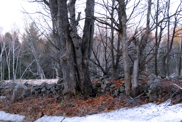 Winter's last 