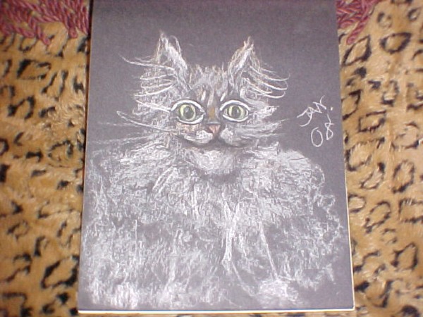 grey kitty `08