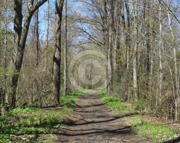 Nature trail