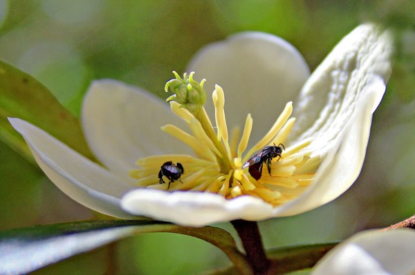 Spring Returns