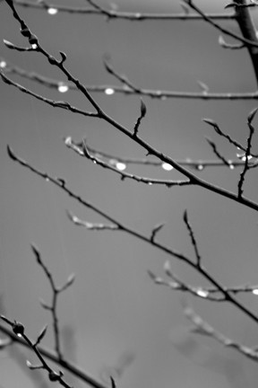 Reaching