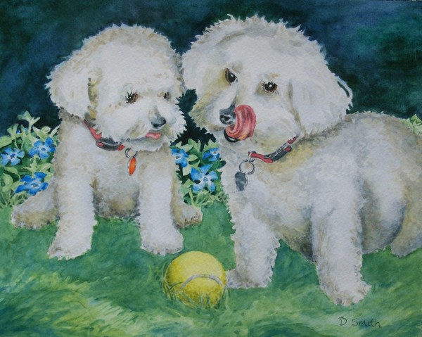 Willi and Scooter