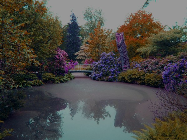A distant dream