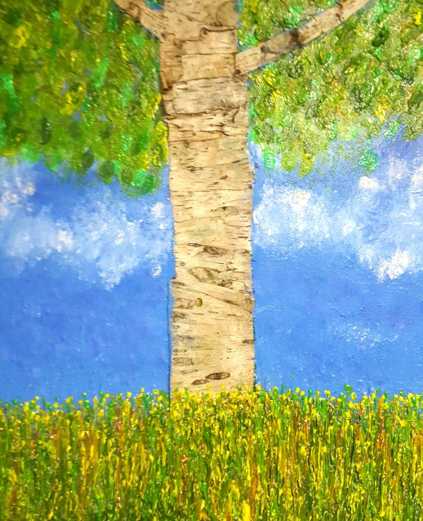 Woodland Birch Tree
