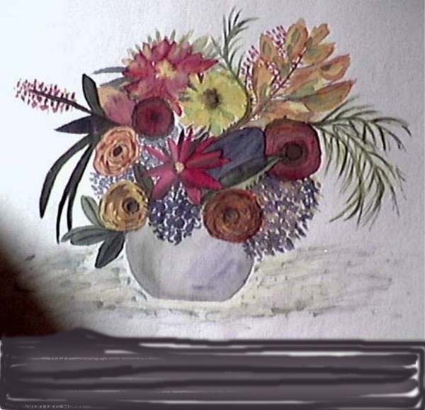  Wild Flowers
