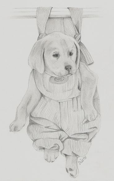 Puppy