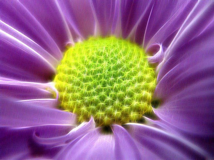 Nature's Bling