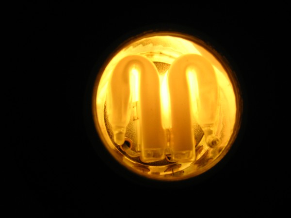 the 